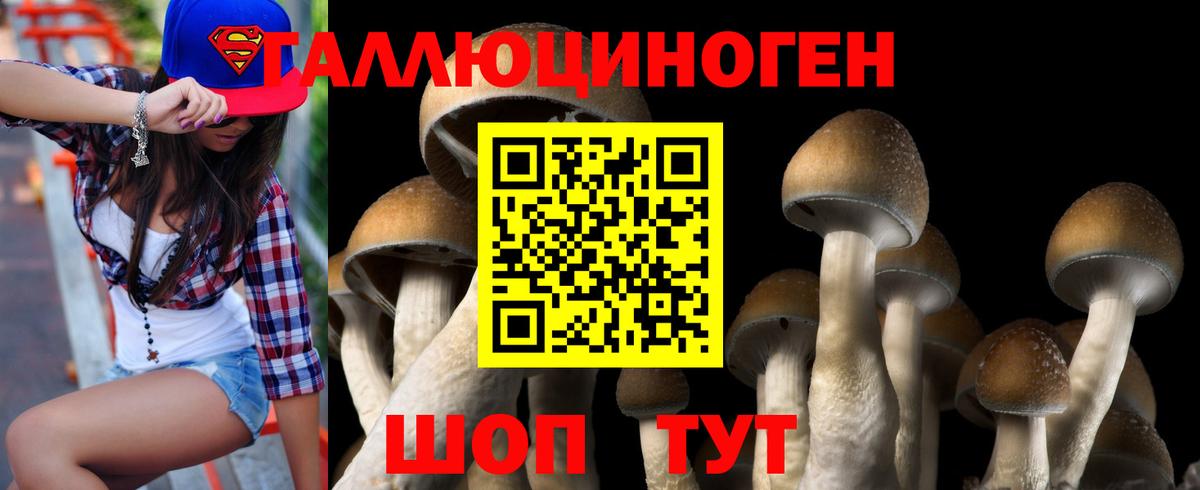 Калуга  Галлюциногенные грибы Psilocybine cubensis  Галлюциногенные грибы Cubensis  Вход с VPN 